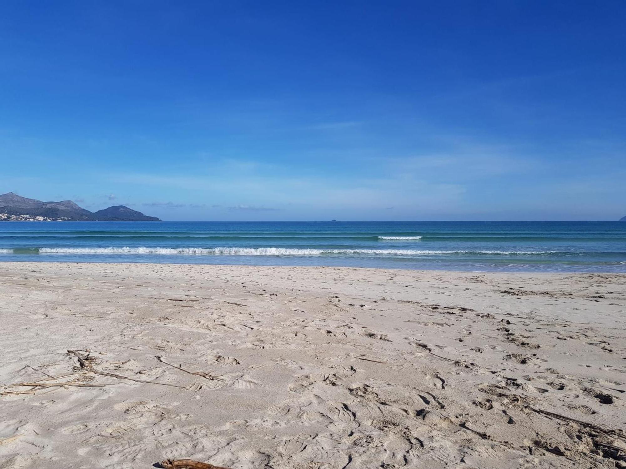 Apartment, Near Apartment Alcudia (Mallorca)